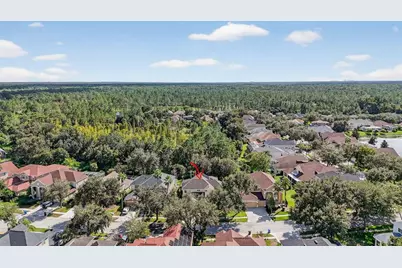 10207 Deercliff Drive, Tampa, FL 33647 - Photo 43