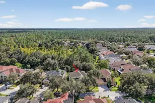 10207 Deercliff Dr, Tampa, FL 33647 - Photo 43