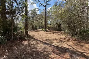 980 N Conant Ave, Crystal River, FL 34429 - Photo 3