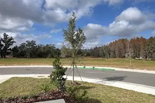 675 Park Pl Blvd, Davenport, FL 33837 - Photo 3