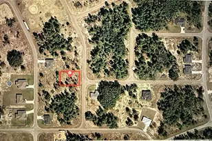 Guava Track, Ocklawaha, FL 32179 - Photo 1