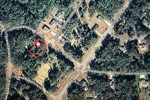 Guava Pass, Ocklawaha, FL 32179 - Photo 1