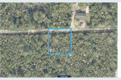 Lot 19 NE 233rd Lane, Fort Mc Coy, FL 32134 - Photo 1