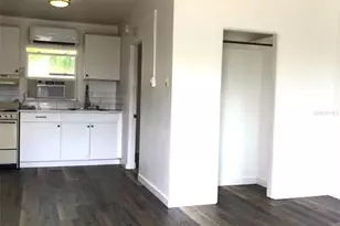 1401 E Alfred St, Tavares, FL 32778 - Photo 5