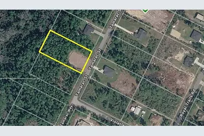 42021 Tamarac Street, Eustis, FL 32736 - Photo 5