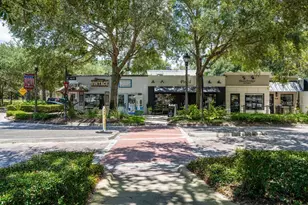 325 Magnolia St, Windermere, FL 34786 - Photo 49