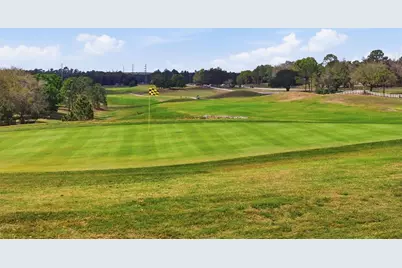 34534 Salerno Circle, Sorrento, FL 32776 - Photo 39