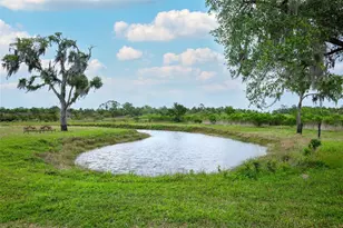 2269 Mullet Lake Park Rd, Geneva, FL 32732 - Photo 3