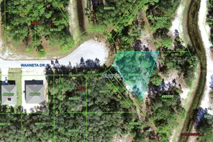 1256 Wahneta Dr, Kissimmee, FL 34759 - Photo 1