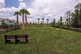 14748 Field Daisy Dr, Winter Garden, FL 34787 - Photo 43