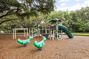 3229 Autumnwood Trail, Apopka, FL 32703 - Photo 41