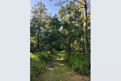 Harrison Road, Mims, FL 32754 - Photo 5