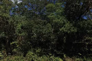 NE 47th Terrace, Citra, FL 32113 - Photo 1