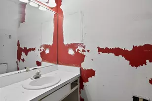 902 Lingo Ct, Oviedo, FL 32765 - Photo 21