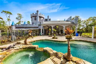 14502 Scotch Pine Ct, Orlando, FL 32832 - Photo 39