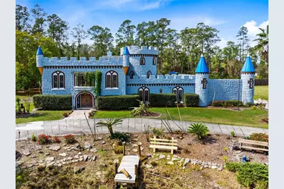 14502 Scotch Pine Court, Orlando, FL 32832 - Photo 45