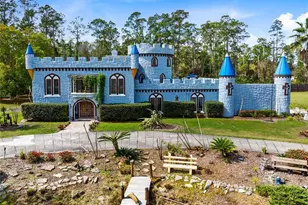 14502 Scotch Pine Ct, Orlando, FL 32832 - Photo 45