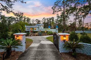 14502 Scotch Pine Ct, Orlando, FL 32832 - Photo 57