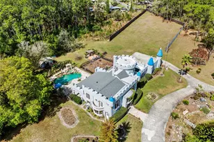 14502 Scotch Pine Ct, Orlando, FL 32832 - Photo 53