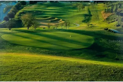 146 Tranquil Mirror Lake Court #Lot 19, Clermont, FL 34711 - Photo 27