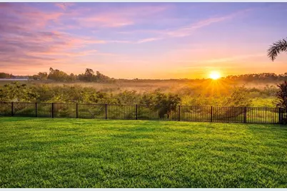 1675 Amsel Falls Park Terrace, Winter Garden, FL 34787 - Photo 3