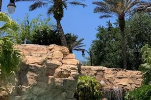 1172 Castle Pines Ct, Reunion, FL 34747 - Photo 23