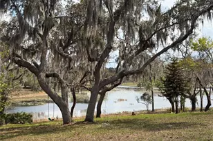 17549 Seidner Rd, Winter Garden, FL 34787 - Photo 1