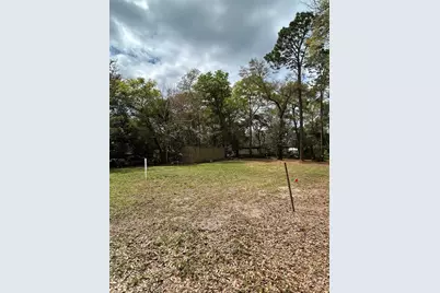 4th Street, Altoona, FL 32702 - Photo 1
