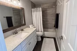 3571 Lake Eleanor Dr, Mount Dora, FL 32757 - Photo 13