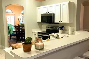 728 Tigris Ln, Lake Mary, FL 32746 - Photo 3