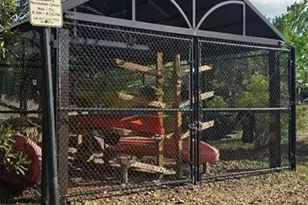 145 Thornberry Dr, Casselberry, FL 32707 - Photo 79