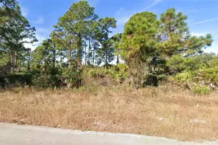 720 Peacock Ave, Lehigh Acres, FL 33974 - Photo 1