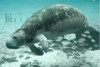 6001 N Elkcam Boulevard, Beverly Hills, FL 34465 - Photo 25