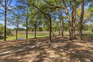 31325 Prestwick Ave, Sorrento, FL 32776 - Photo 19