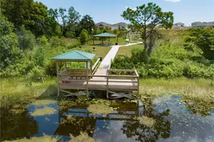 7264 Rolling Leaf Rd, Groveland, FL 34736 - Photo 21