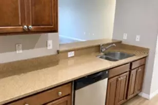 8520 Broken Willow Ct, Tampa, FL 33647 - Photo 5