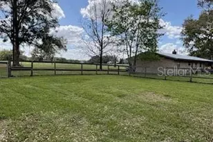 6030 NE 185th Terrace, Williston, FL 32696 - Photo 3