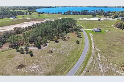 38514 Wooded Meadow Drive, Umatilla, FL 32784 - Photo 9