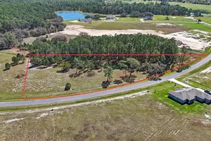 38514 Wooded Mdw Dr, Umatilla, FL 32784 - Photo 1