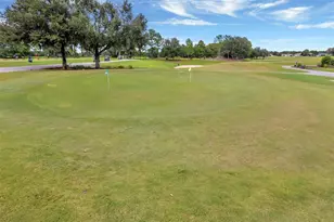 26645 Manassas Dr, Leesburg, FL 34748 - Photo 53