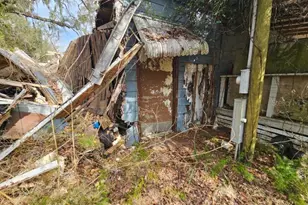 4210 NE 175th Street Rd, Citra, FL 32113 - Photo 19