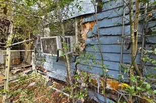 4210 NE 175th Street Rd, Citra, FL 32113 - Photo 15