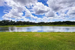 11124 Leland Groves Dr, Riverview, FL 33579 - Photo 43