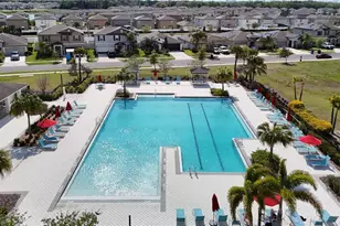 4023 Wild Senna Blvd, Tampa, FL 33619 - Photo 57