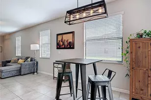 4023 Wild Senna Blvd, Tampa, FL 33619 - Photo 15