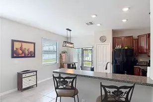 4023 Wild Senna Blvd, Tampa, FL 33619 - Photo 11