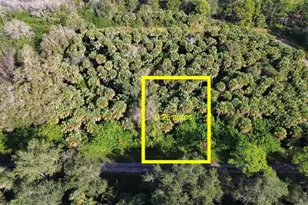 1219 Rosita Street E, Lehigh Acres, FL 33974 - Photo 1