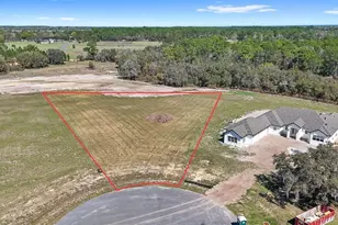 38361 Lk Mdw Ct, Umatilla, FL 32784 - Photo 1