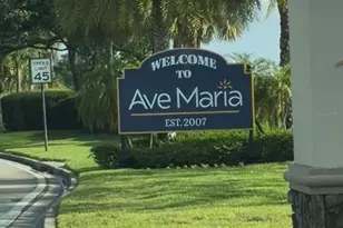 5868 Agostino Way, Ave Maria, FL 34142 - Photo 63
