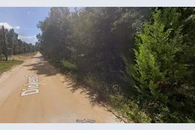 201 Dickens Street, Interlachen, FL 32148 - Photo 5